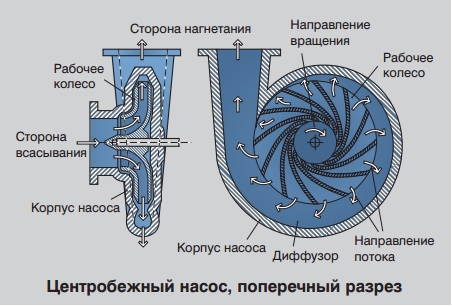 Центробежный насос, поперечный разрез Центробежный насос, поперечный разрез